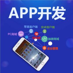 專(zhuān)業(yè)App開(kāi)發(fā)如何實(shí)現(xiàn)效益快？軟件開(kāi)發(fā)公司的選擇與策略